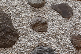 Aikido Aikikai Aachen