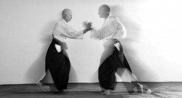 Aikido Aikikai Aachen