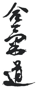 Aikido Aikikai Aachen